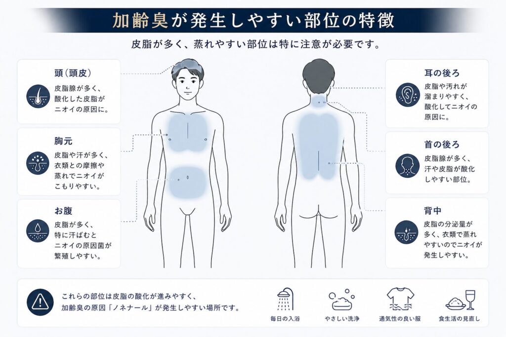 加齢臭が発生しやすい部位の特徴