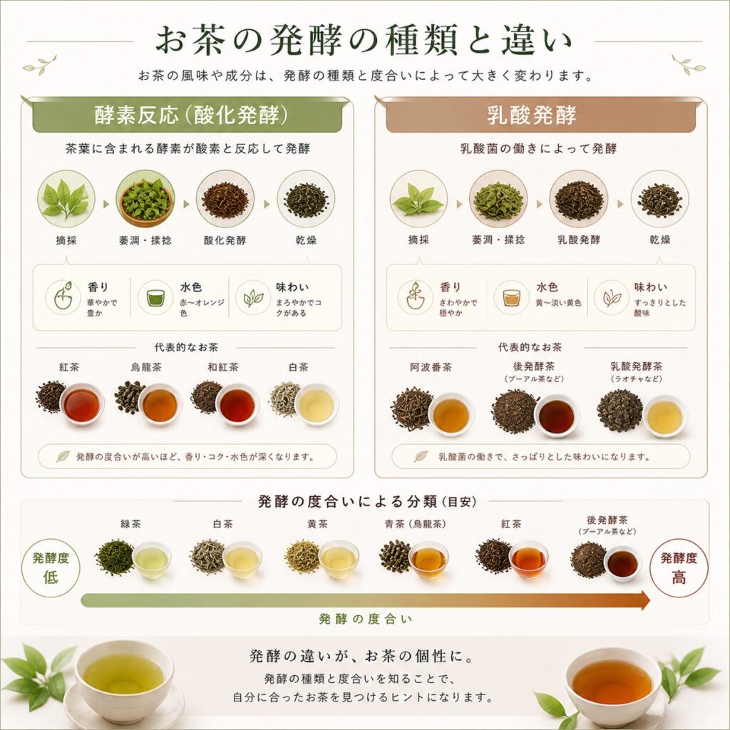 お茶発酵の種類
