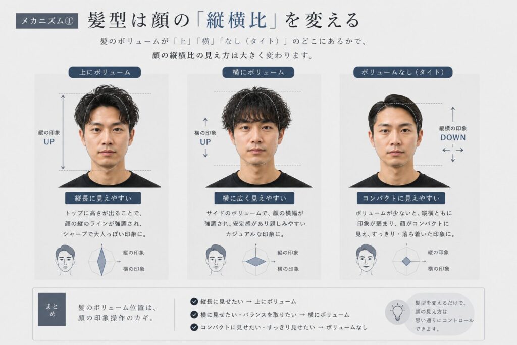 メカニズム①|髪型は顔の「縦横比」を変える