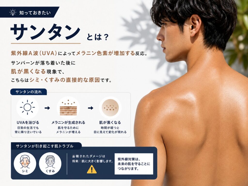 サンタンの特徴