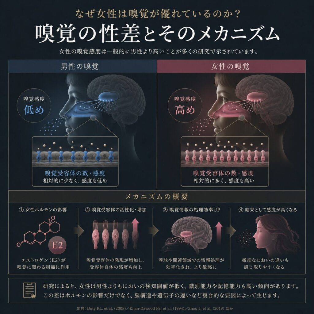 女性のほうが男性より嗅覚が鋭い