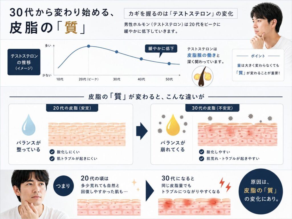 テストステロンの緩やかな低下と皮脂の「質」の変化