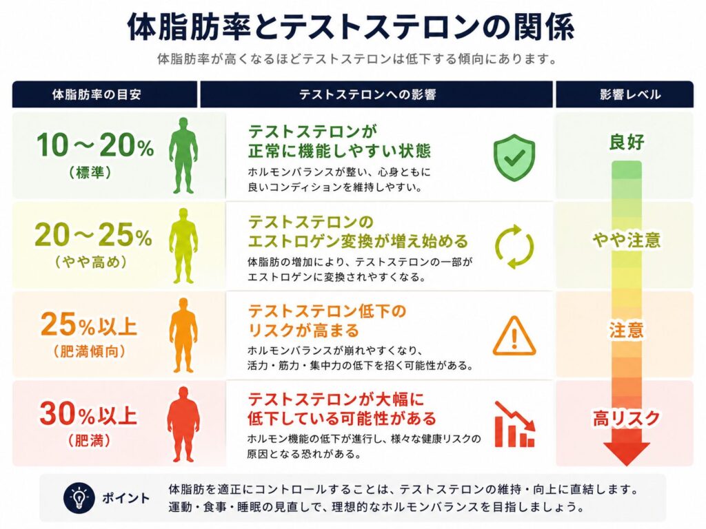 体脂肪とテストステロンの関係